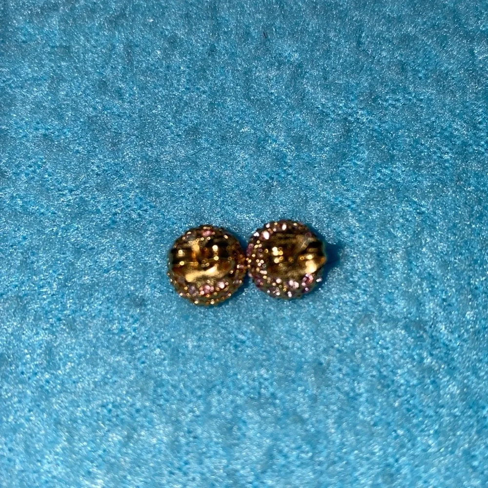 Ann Taylor ann taylor